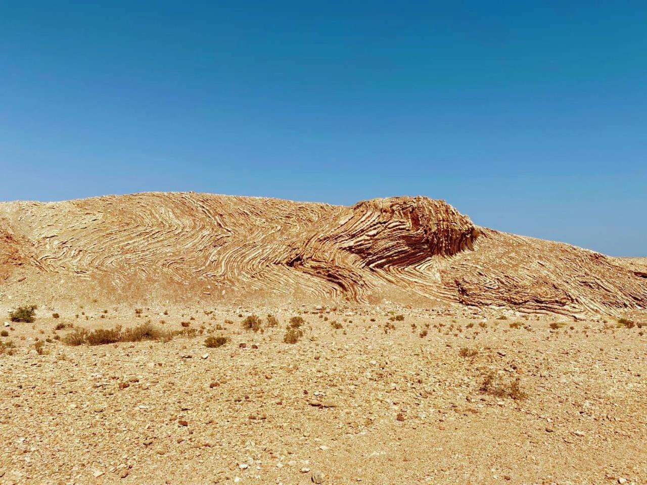 فندق دار ضيافة محمية سلاحف راس الجنز صور المظهر الخارجي الصورة